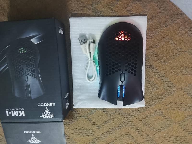 mouse 1