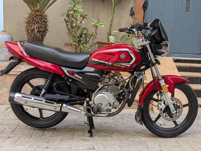 Yamaha YB 125Z-DX 2025