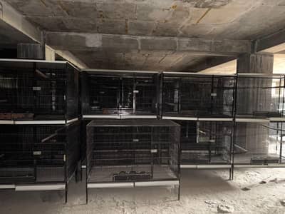 big birds cages