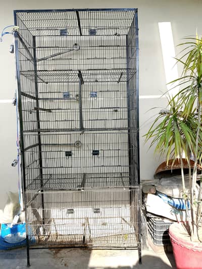 Cage for Birds 