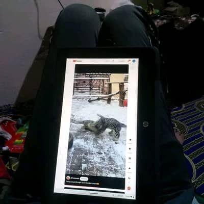 Hp Chromebook 360 touch screen 12 inches