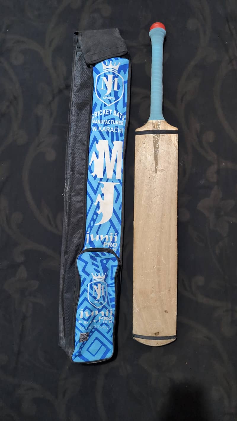 coconut bat 1