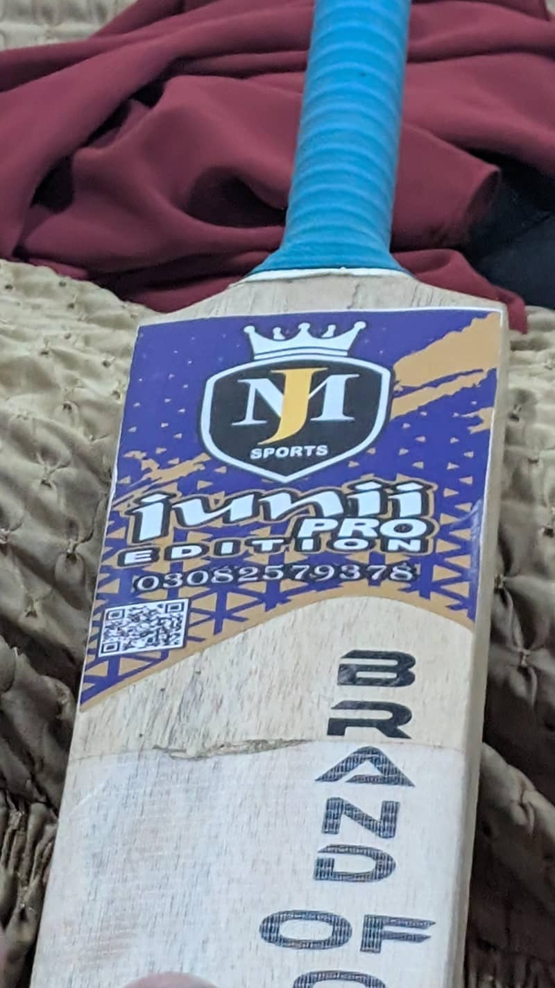 coconut bat 2