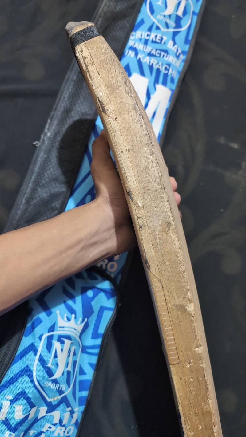 coconut bat 5