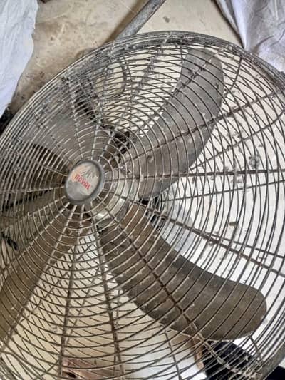 Fan for sale