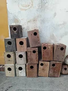 breeding box for love birds cocktail bajri