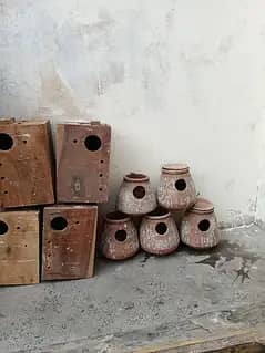breeding box for love birds cocktail bajri