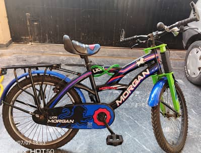 Bicycle in good condition
