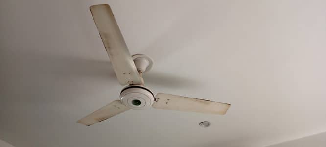 selling fan