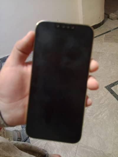 Apple iPhone 13 Pro Max