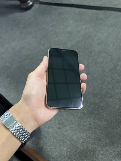 Apple iPhone 12 Pro