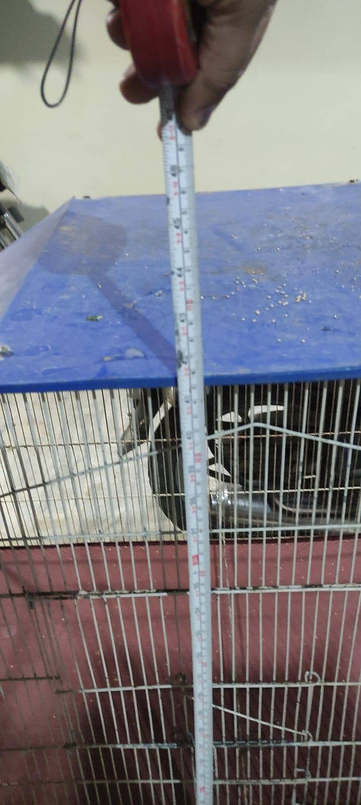 cage 3 portion 1