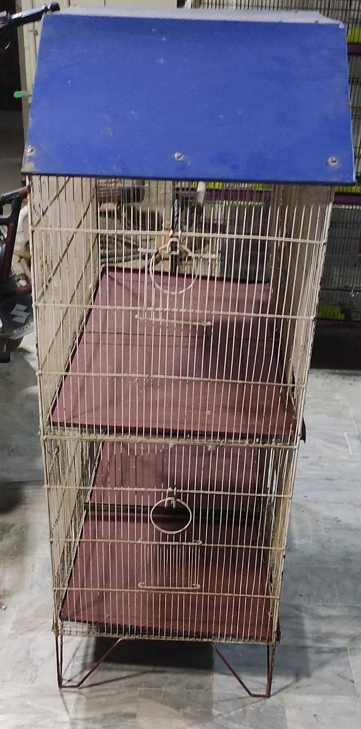 cage 3 portion 3