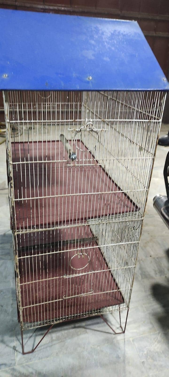 cage 3 portion 4