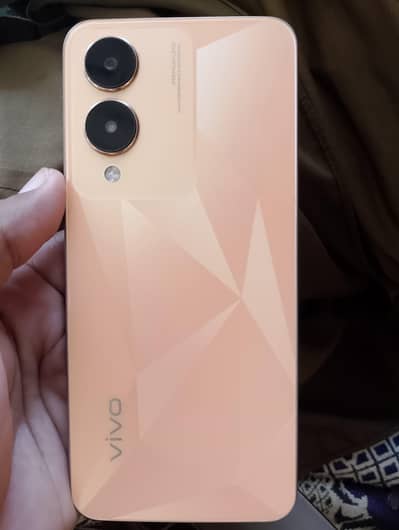 Vivo Y17