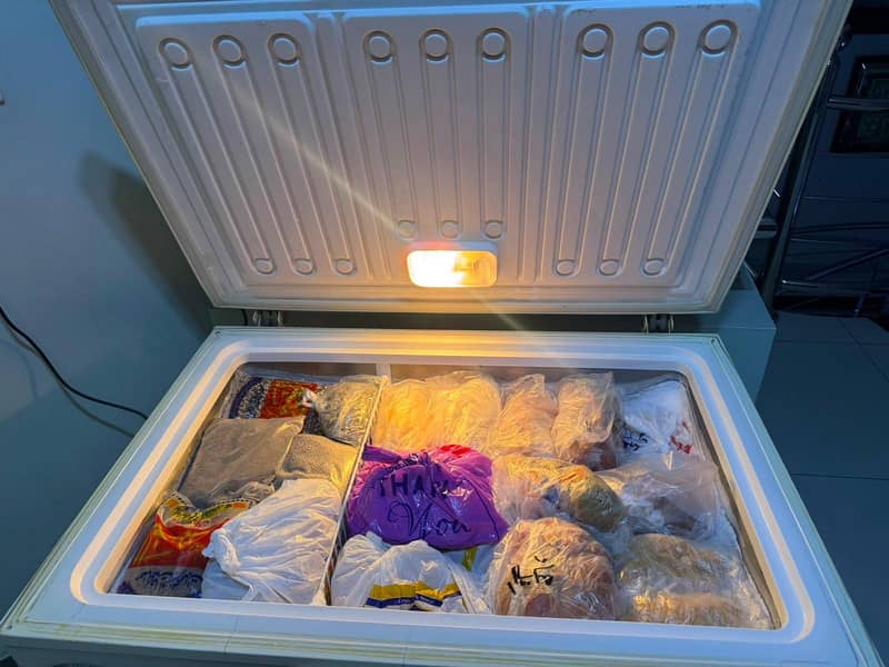 waves freezer 1