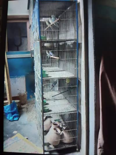 CAGE FOR SALE