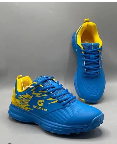 shoes gripper