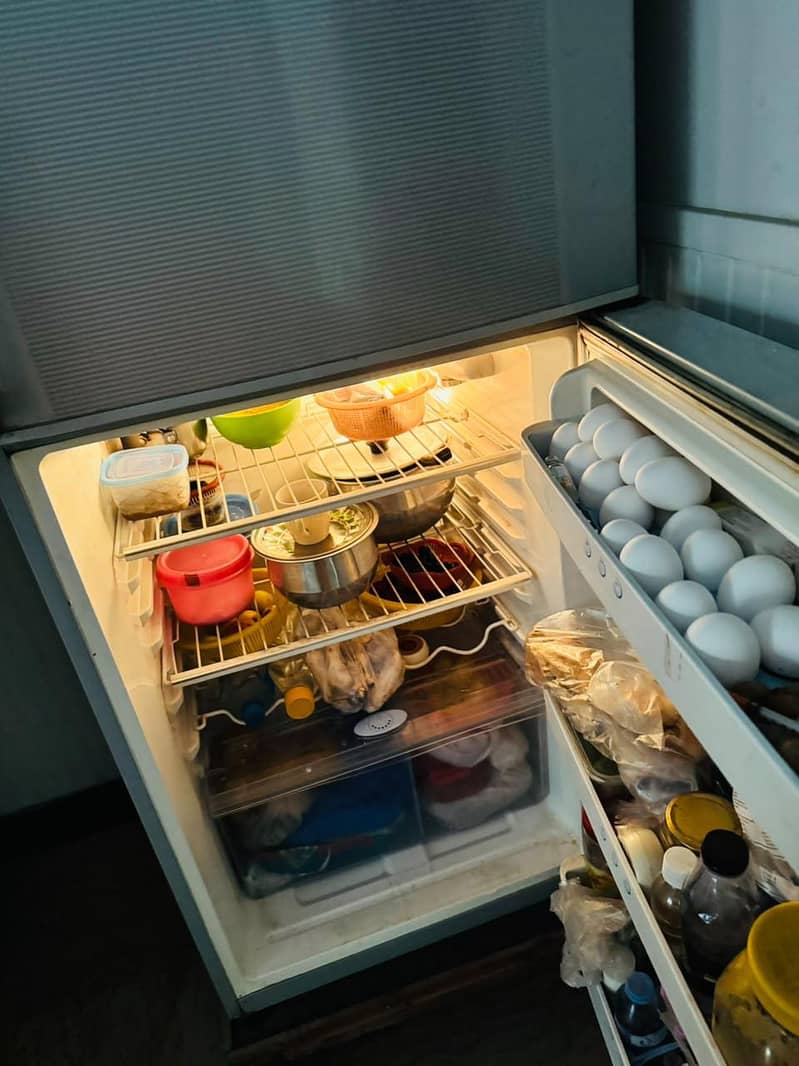 refrigerator 9