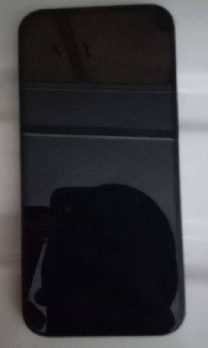 Apple iPhone 13 0