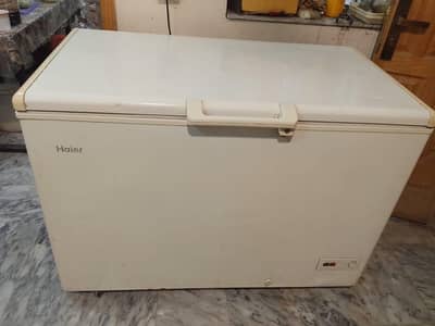 Haier Freezer