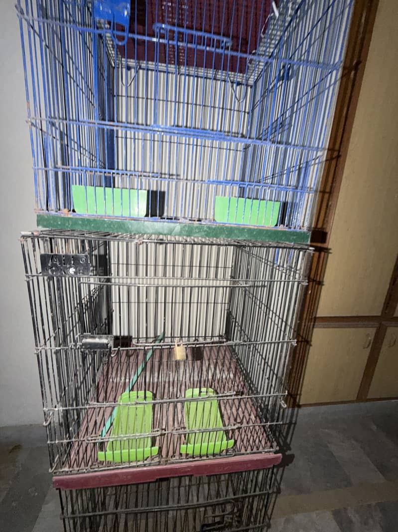 Cages 1