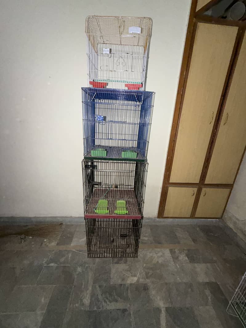 Cages 3