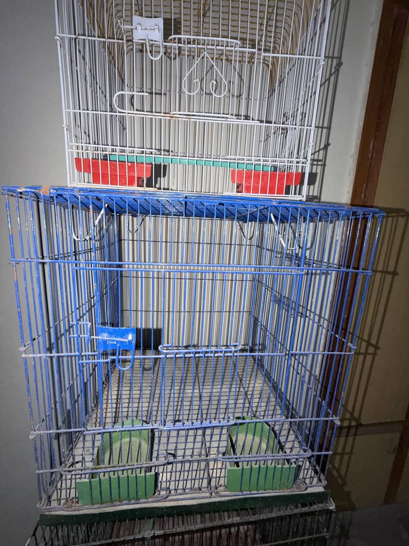 Cages 4