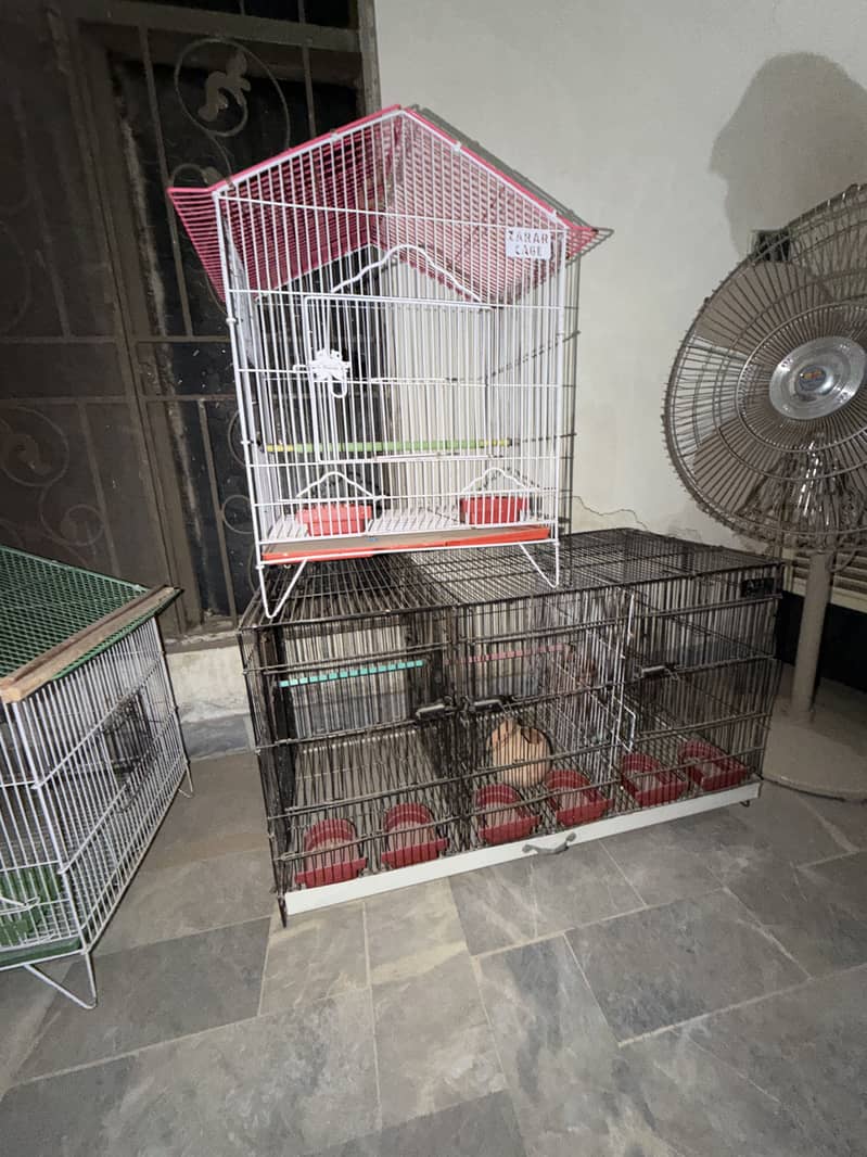 Cages 6