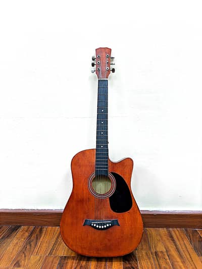 Professional Acoustic Guitar with Accessories