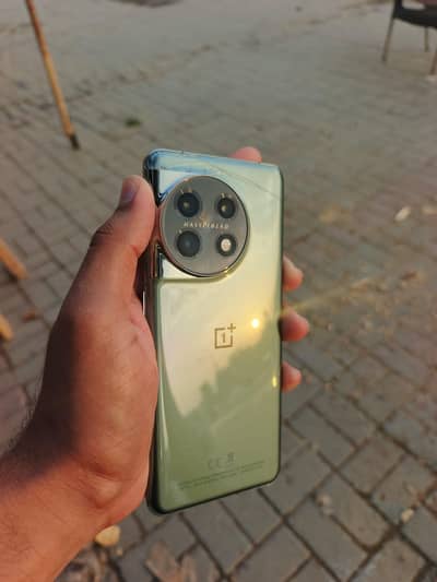 One plus 11 non pta