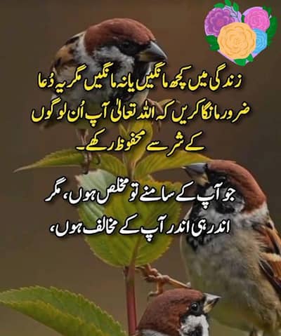 Moja jobe ke zarort h House work company ma ya koi be ma job kr lo ga