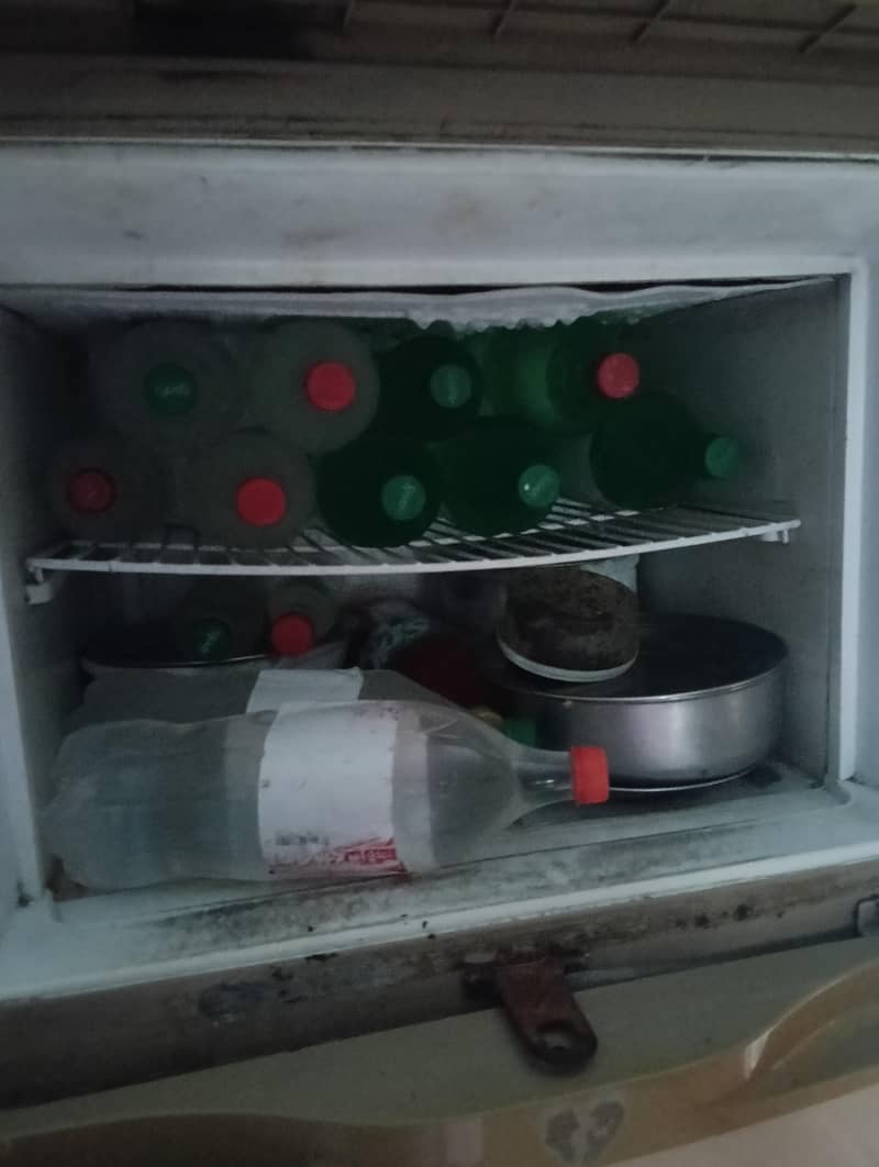 waves fridge 2