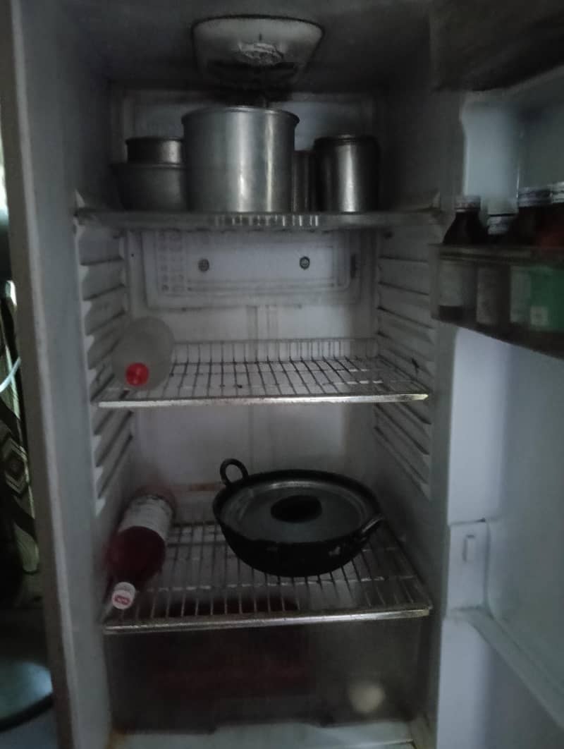 waves fridge 3