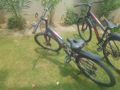24 inch cycle for sale