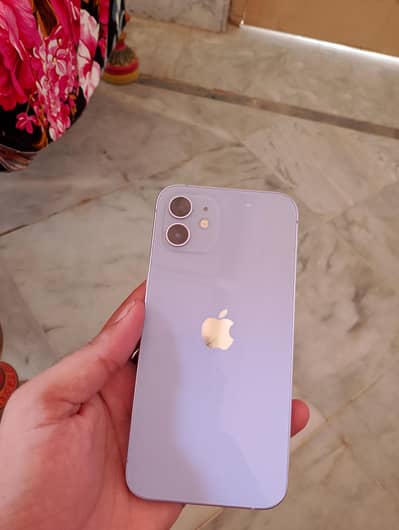 Apple iPhone 12