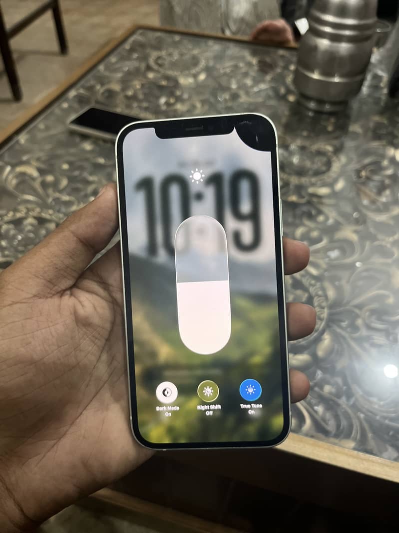 Apple iPhone 12 1