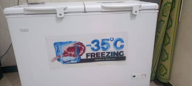 Haier freeze