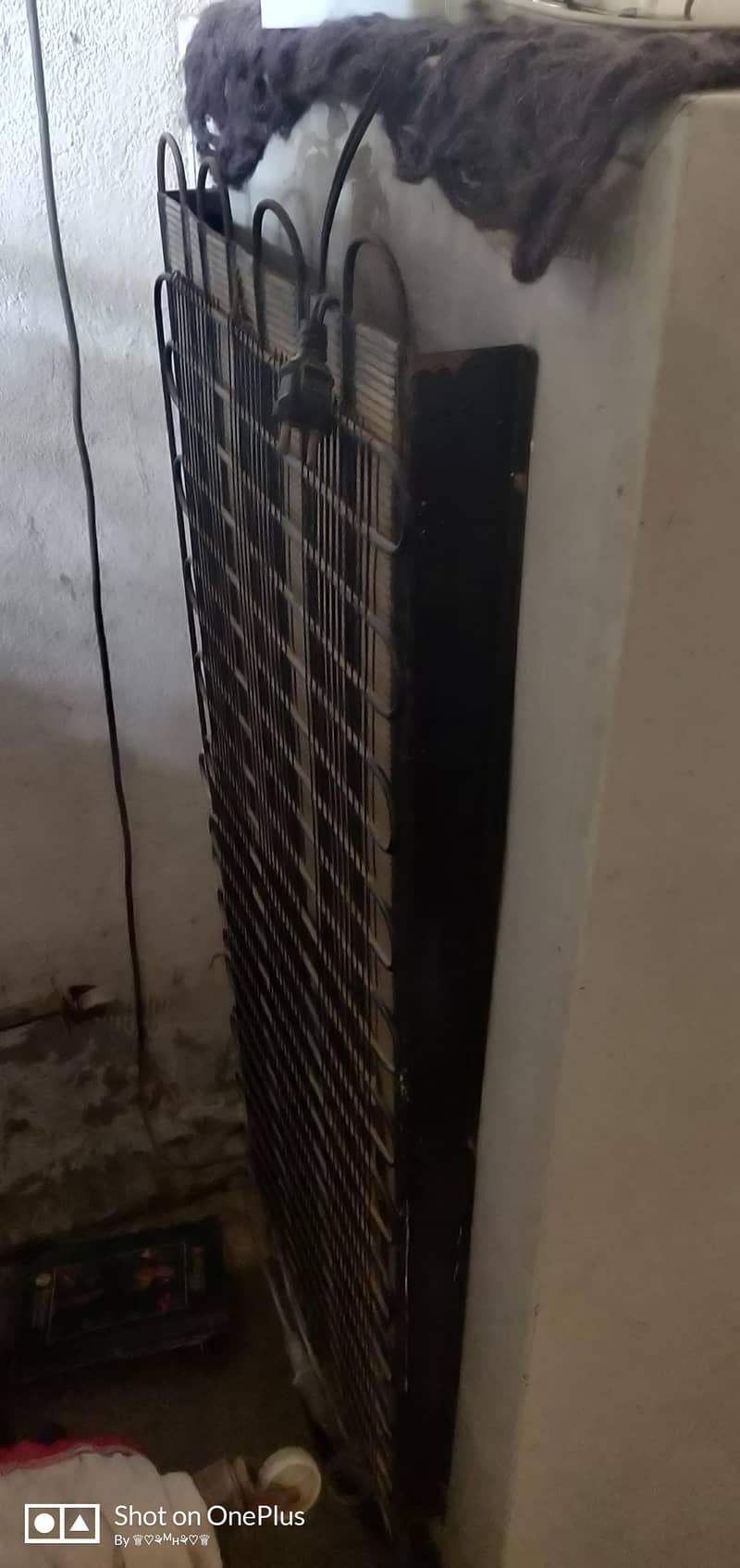 dalwanc 5