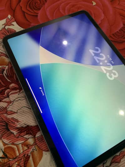 Apple IPad Pro 11 Inch (2nd generation)