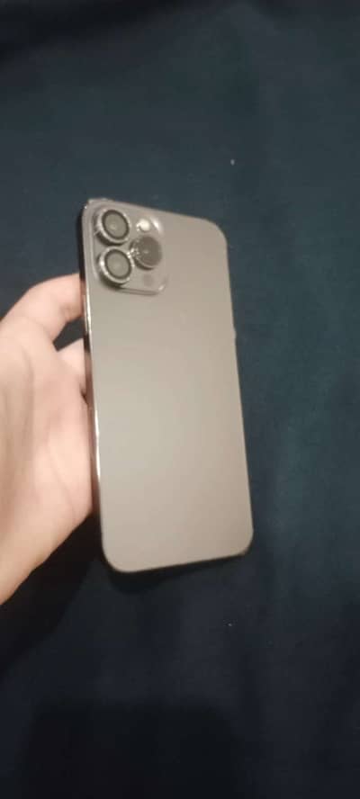 Apple iPhone 13 Pro Max