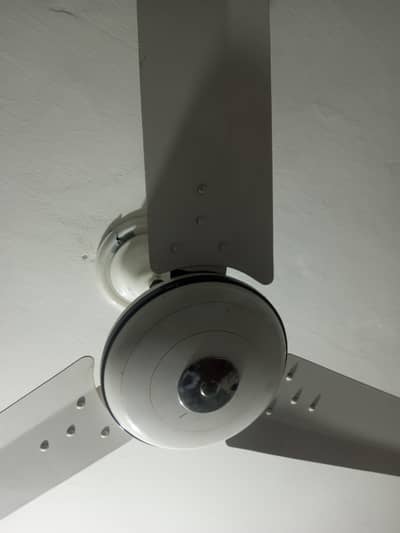 Fan for sale