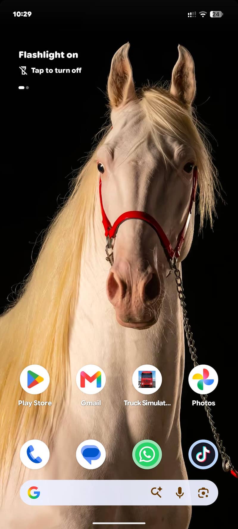 Google Pixel 6 0