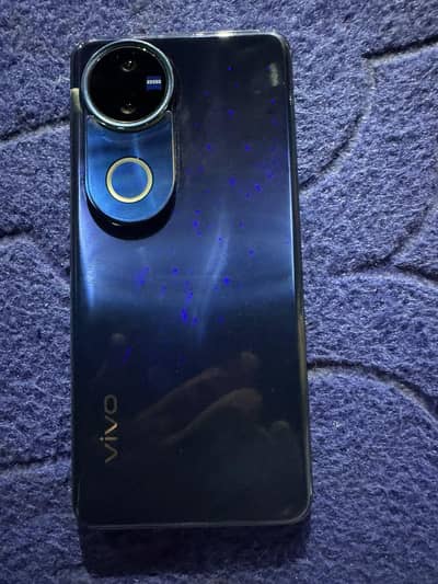 vivo v50  5G 12/256