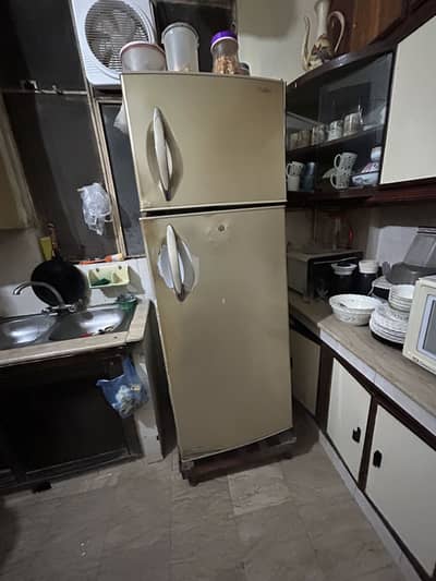 Hair Fridge for sale