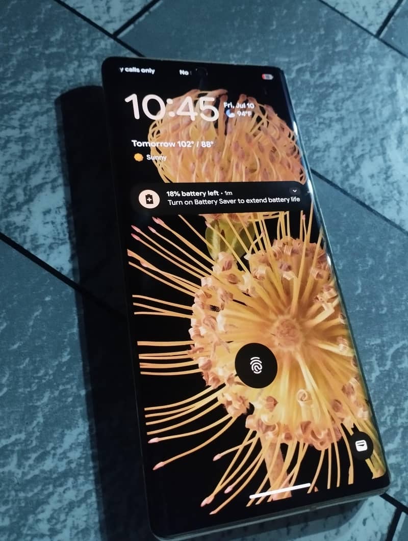 Google Pixel 6 Pro 1