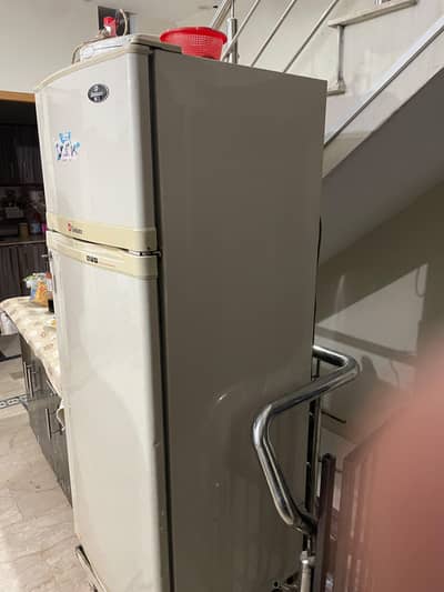 fridge normal size