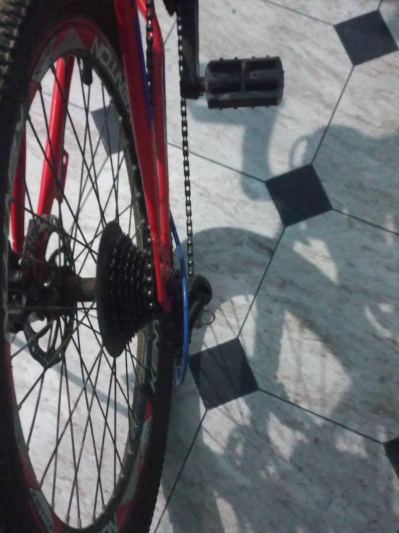 Geare cycle 1