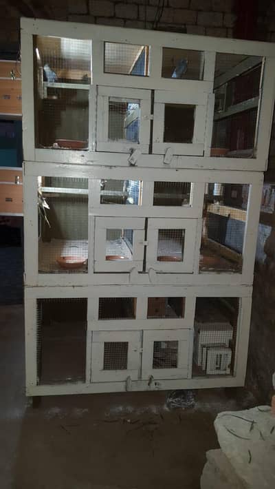 cage used for love birds
