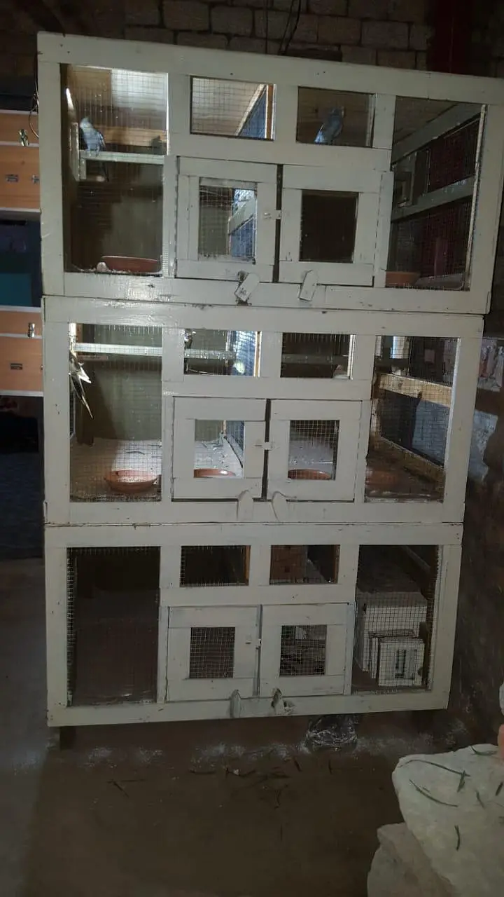 cage used for love birds
